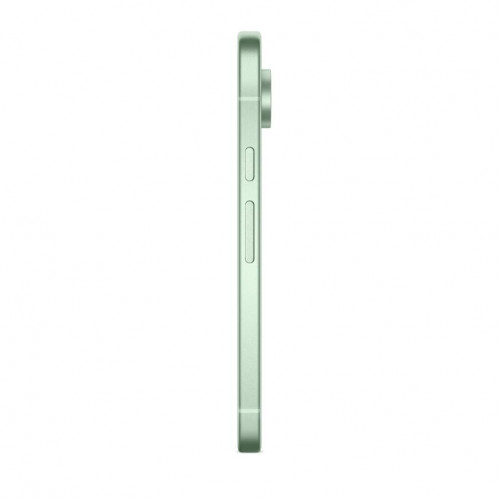 Смартфон Google Pixel 9 12/128GB, Wintergreen
