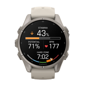 Умные часы Garmin Fenix 9 43mm, Туманно-серый, Ремешок черный