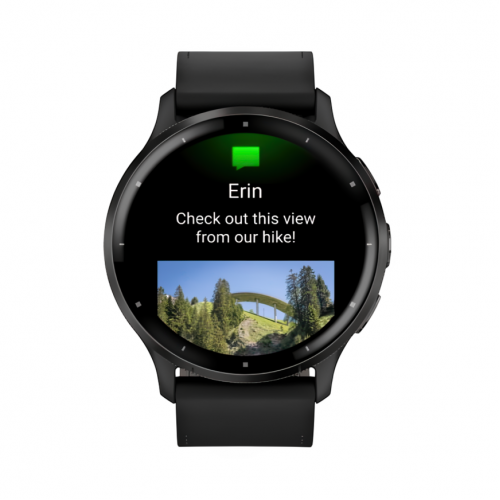 Умные часы Garmin Venu 3, Черный, Ремешок черный